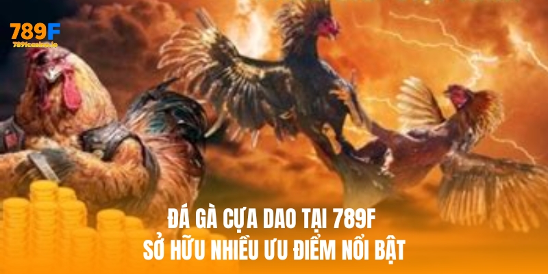 Đá gà cựa dao – Trò chơi truyền thống đỉnh cao tại 789F