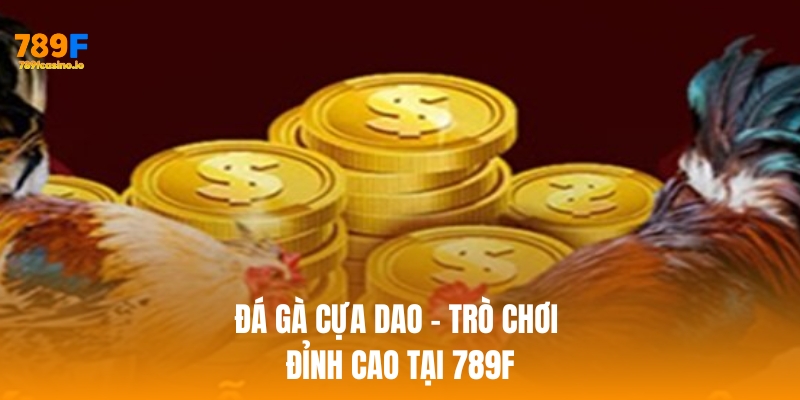 Đá gà cựa dao tại 789F sở hữu nhiều ưu điểm nổi bật