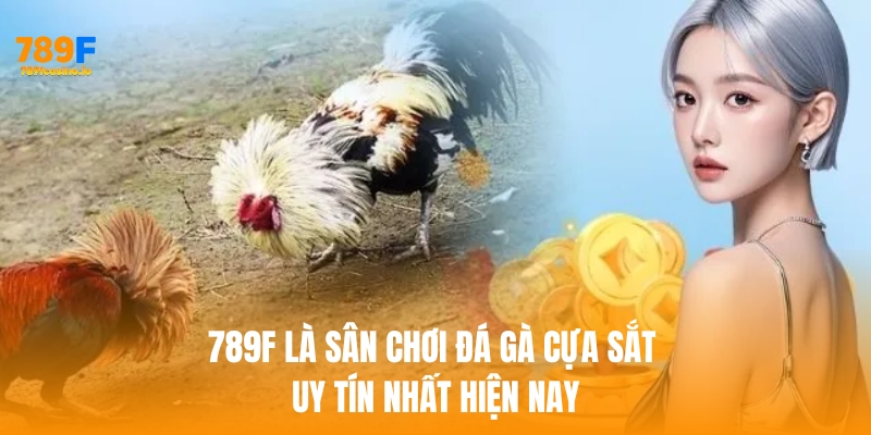 789F là sân chơi đá gà cựa sắt uy tín nhất hiện nay