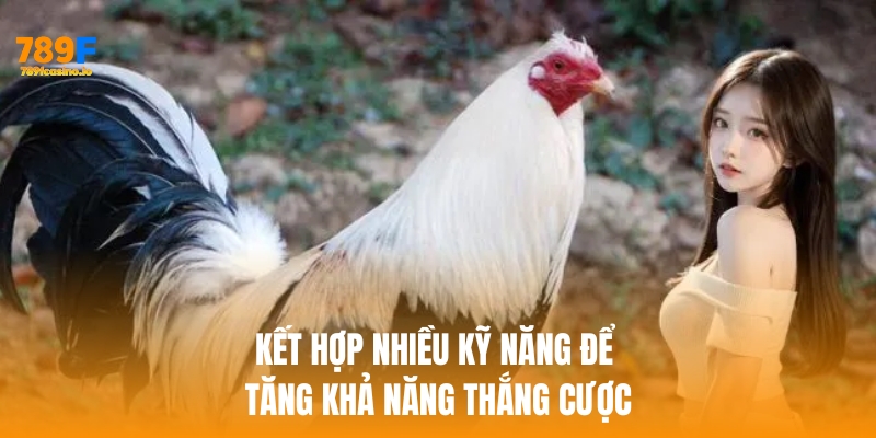 Kết hợp nhiều kỹ năng để dự đoán chính xác hơn và tăng khả năng thắng cược