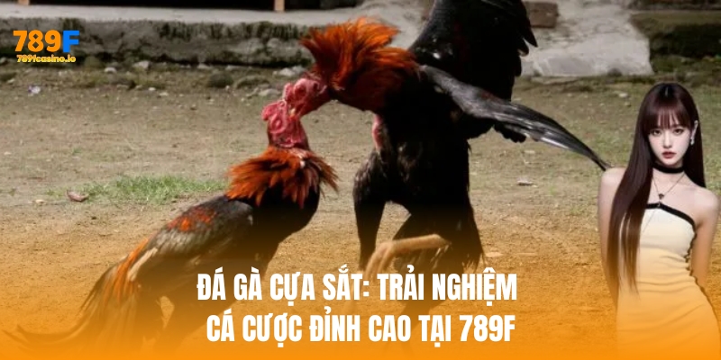 Đá Gà Cựa Sắt: Trải Nghiệm Cá Cược Đỉnh Cao Tại 789F